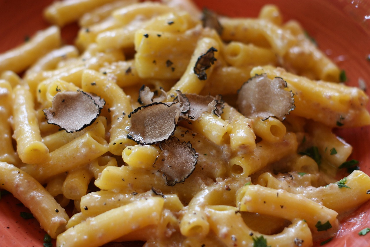 Handmade pasta topped with shaved truffles served during a private gourmet tasting in Tuscany